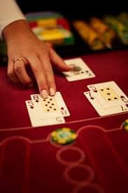 Dashboard shio 88 menampilkan berbagai kategori permainan termasuk sportsbook, live dealer, dan slot games